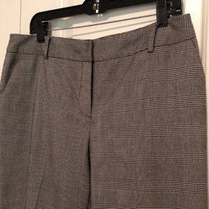 All season dress pants